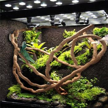 Grandes Vignes Flexibles 3m - Décoration Terrarium Reptiles