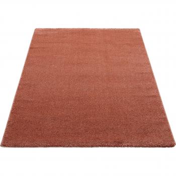OCI DIE TEPPICHMARKE Teppich VILLA NEU