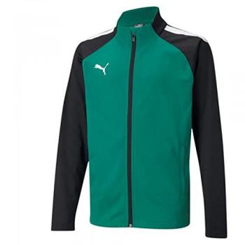 Puma Teamliga Junior Training Green & Black Coat