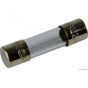 Sicherung Herth+Buss 50295054 – 5 mm Glas