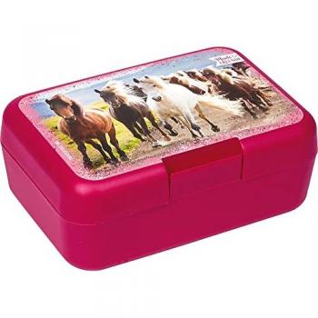 COPPENRATH DIE SPIEGELBURG Lunchbox Butterbrotdose Brotdose Pferde Pferdefreunde Schule Kiga Vesperdose, Kunststoff, (Set, 2-tlg., 1), stapelbar