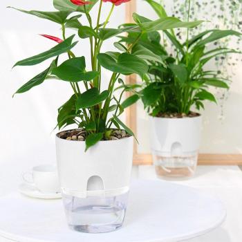 Pot de fleurs autonome