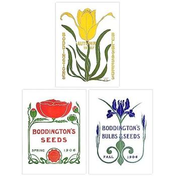 Vintage Garden Glow – 3 Boddington Bulb Seeds & Poster Set