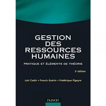 Gestion des ressources humaines : Pratique et éléments de théorie (Gestion Sup)