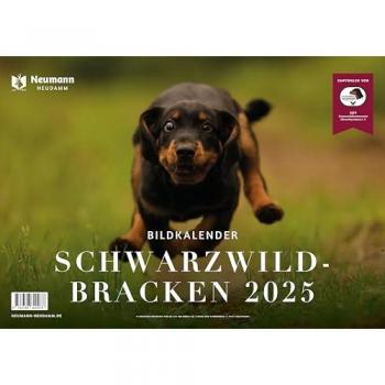 Schwarzwildbracken 2025