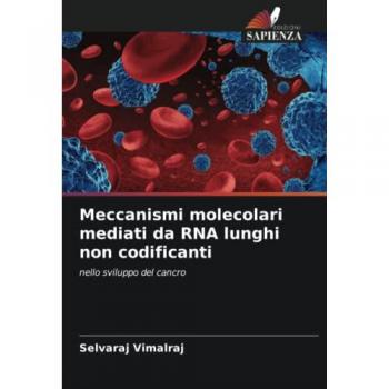 Vimalraj, Selvaraj: Meccanismi molecolari mediati da RNA lunghi non codificanti