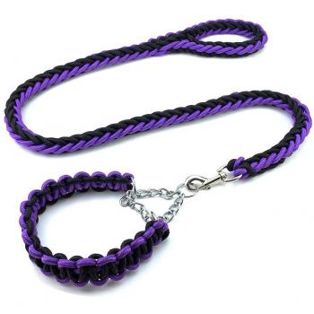 Nylon Dog Leash and Collar Set for Pitbulls and Bull Terriers