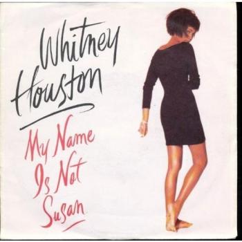 MY NAME IS NOT SUSAN 7 INCH