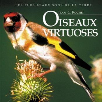 Meisterhafte Vögel