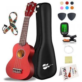 Everjoys Soprano Ukulele Beginner Kit, 21 Inch Ukelele for Kids Adults w/Strap, Tuner, Strings, Songbook, Case, Picks