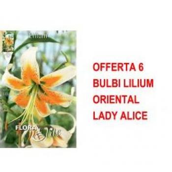 6 Bulbi di Lilium Oriental Lady Alice in Offerta