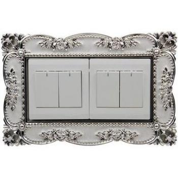 176 European Double Switch Acrylic Protective Cover