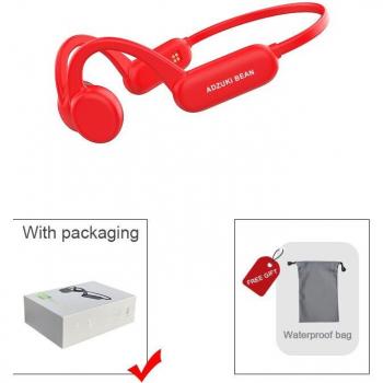 IPX8 Waterproof Bone Conduction Earphones with Mic and 8GB Storage