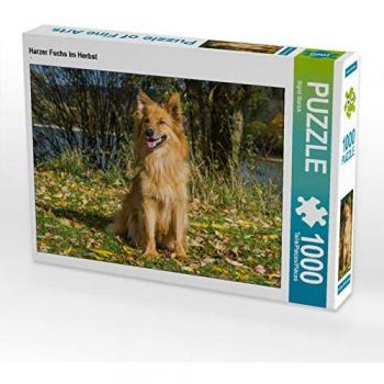 Harzer Fuchs im Herbst 1000 Teile Lege-Größe 64 x 48 cm Foto-Puzzle Bild von Sista-Tierfoto