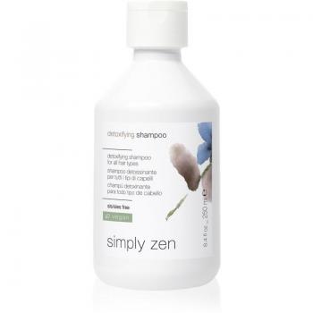 Pure Zen Détox Shampoo 250 ml
