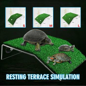 Rampa Acuática Eco‑Tortuga