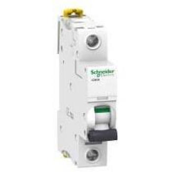 Interruptor automatico magnetotermico iC60N - 1P  Blanco 32 A