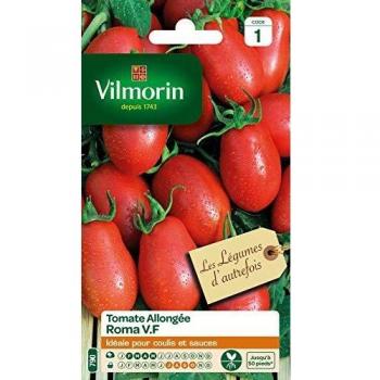 Tomate Roma Vilmorin - Tradition d'Autrefois