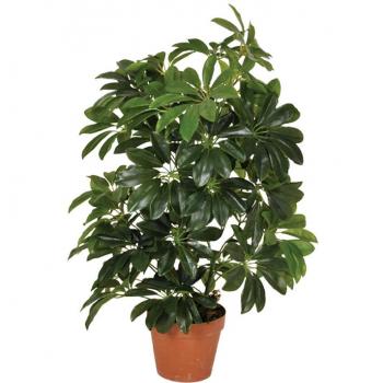 Planta artificial cheflera 65 cm