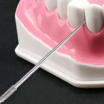 Titanium Toothpick with Holder