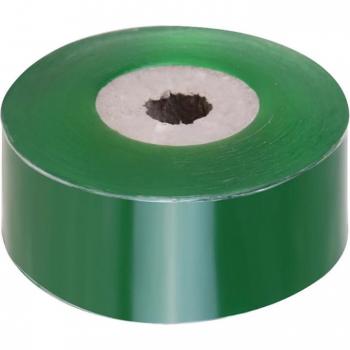 Membrana de injerto biodegradable