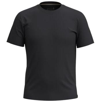 Smartwool T-Shirt Slim Fit