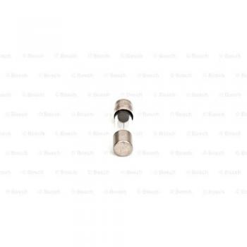 BOSCH Sicherung 1 904 521 441