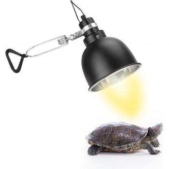 25W Reptile Heat Lamp