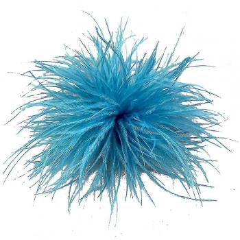Accessoire en Plumes Bleues