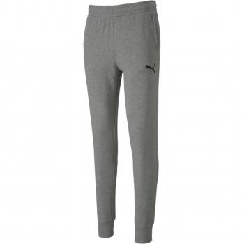 Puma Team Goal 23 Casuals Pants