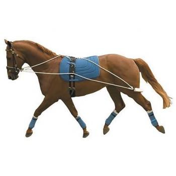Kincade Equine Lunging System
