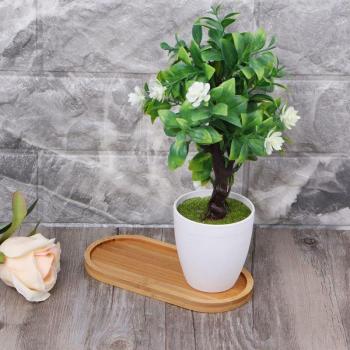 Bamboo Wood Oval Plant Tray