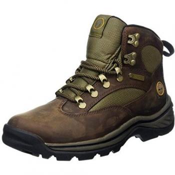 Timberland Damen Chocorua Trail Goretex Chukka Boots, Dunkelbraun/Grün, 40 EU