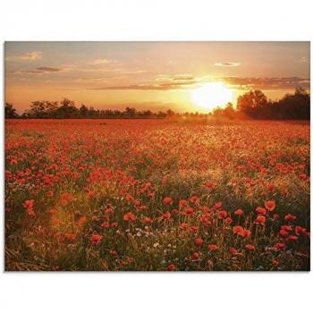 Glasbild ARTLAND Mohnblumen im Sonnenuntergang, rot, B:80cm H:60cm, Bilder, in verschiedenen Größen