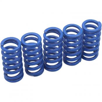 KRM Muelles de Embrague Intermedios Derbi X5