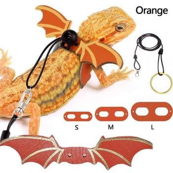 Adjustable Lizard Leather Leash Set for Bearded Dragons