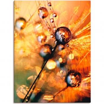 Blumenenergie Pusteblume – Wandkunst Leinwand (Einzelstück)