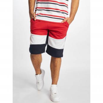 Southpole Men's Color Block Tech Fleece Shorts