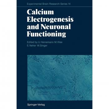 Calcium Electrogenesis and Neuronal Functioning