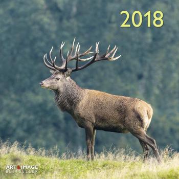 2018 Forest and Meadow Animals Grid Calendar -  Animal Calendar - 30 x 30 cm