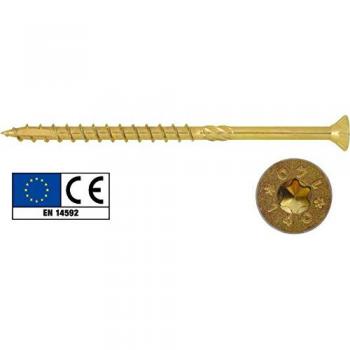 Pack de 100 vis TSP-TORX pour bois 6x140 mm