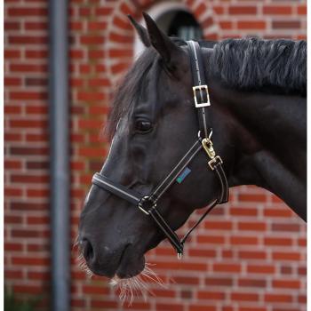 Licol Bucas Dublin - Noir/Taupe (Taille Cob)