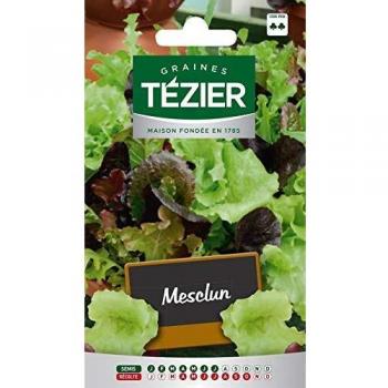 Tezier - Salade Variée