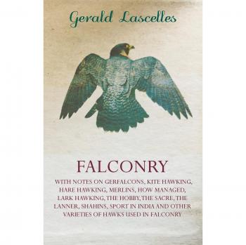 FALCONRY