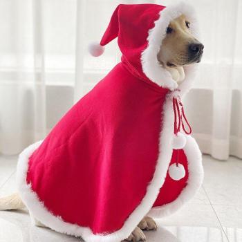 Gabardina grande para perro Samoyed