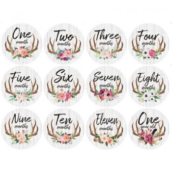 12Pcs Neutral Baby Monthly Milestone Stickers