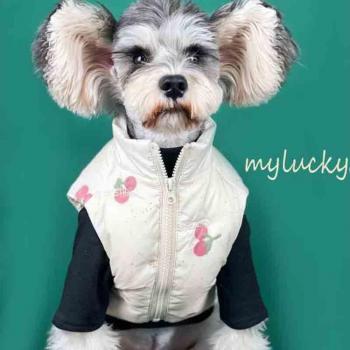 Teddy Schnauzer Bomei Hundejacke für Herbst und Winter - warme Kirsche für kleine und mittlere Haustiere