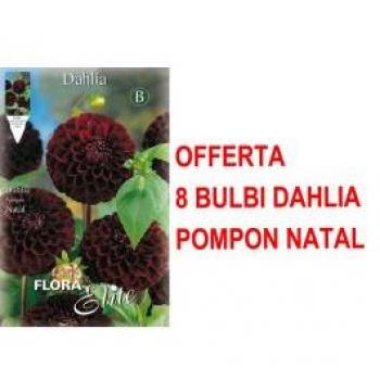 Bulbi D’Autore Dahlia