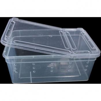 Réservoir transparent pour élevage d’insectes reptiles