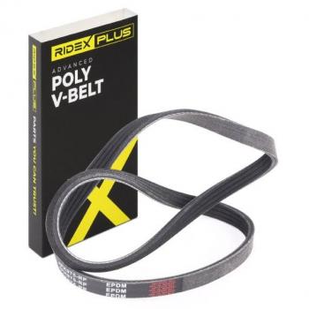 Tracción Trapecial V en Poli del modelo RIDEX PLUS 305P0375P